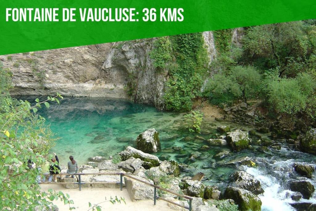 Le Vieux Sextier - Ac Clim - Lumineux - Wifi - Hypercentre Daire Avinyon Dış mekan fotoğraf