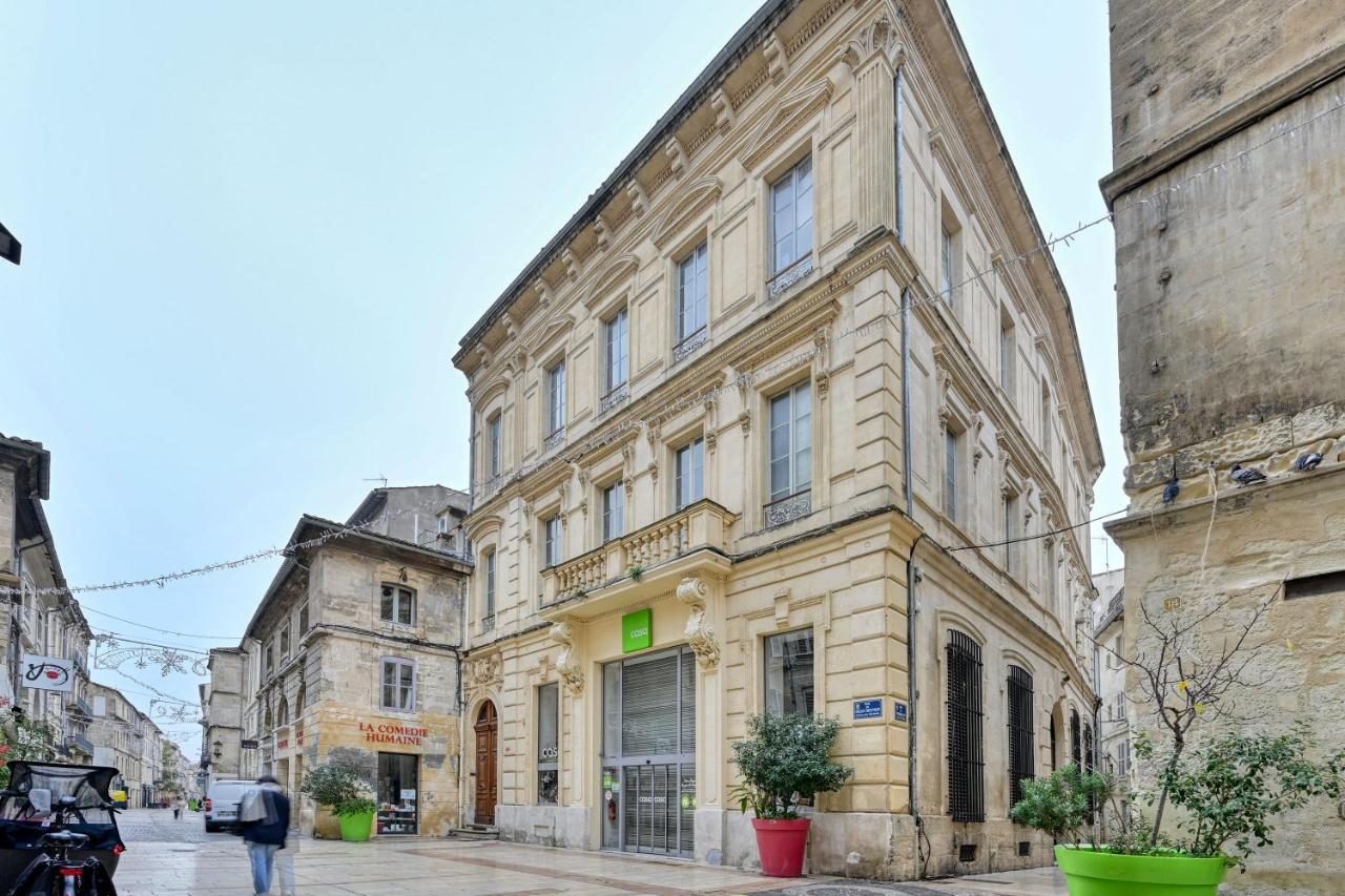 Le Vieux Sextier - Ac Clim - Lumineux - Wifi - Hypercentre Daire Avinyon Dış mekan fotoğraf